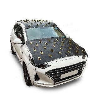 Car Protection Cover From Monkey And Dog For All Car