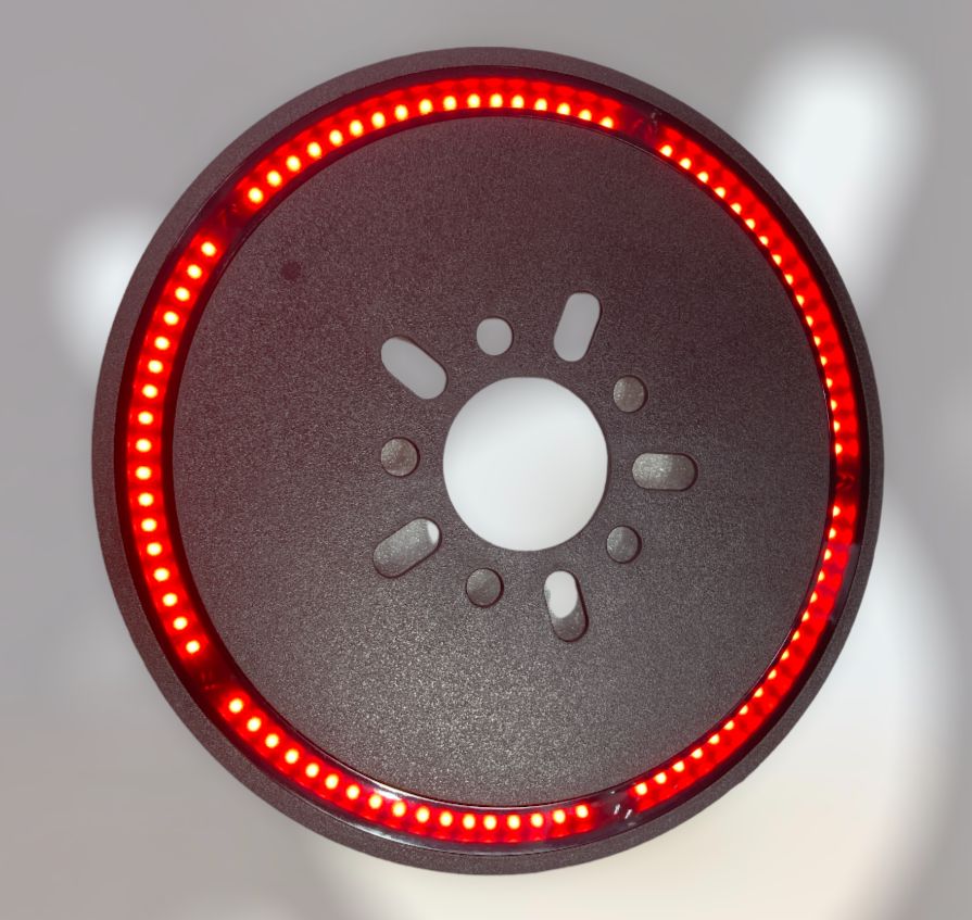 Stepney/ Spare-wheel Disk Brake Light for Thar 2020