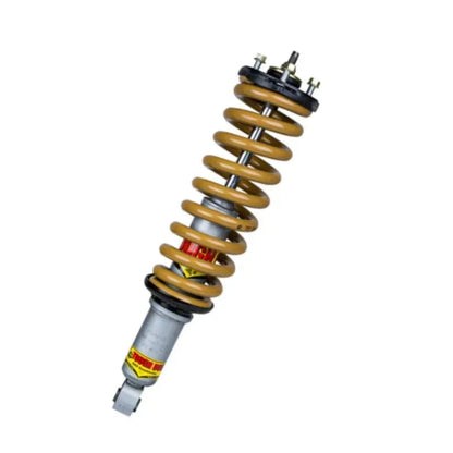 A single automotive shock absorber with a prominent gold coil spring, a silver metal body, and black mounting components, shown against a plain white background.